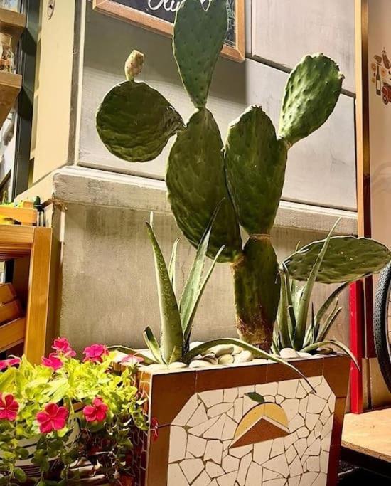 La Casa Di Eva Apartment Palermo Bagian luar foto